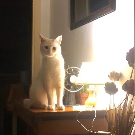 Tonino Homestay Tempio Pausania