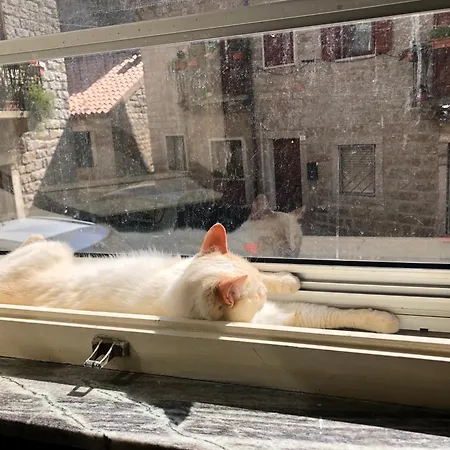 Homestay Tonino Tempio Pausania