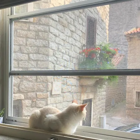 Tonino Rum i privatbostad Tempio Pausania