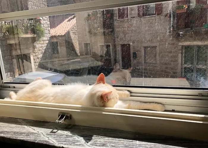 ホームステイ Tonino テンピオ・パウザーニア