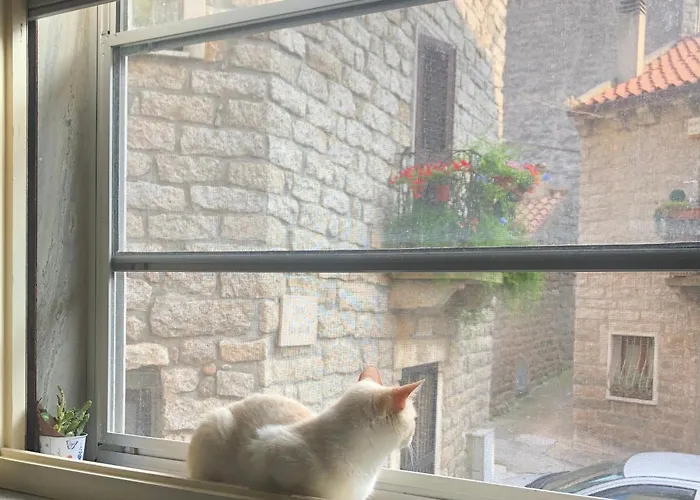 Tonino ホームステイ テンピオ・パウザーニア