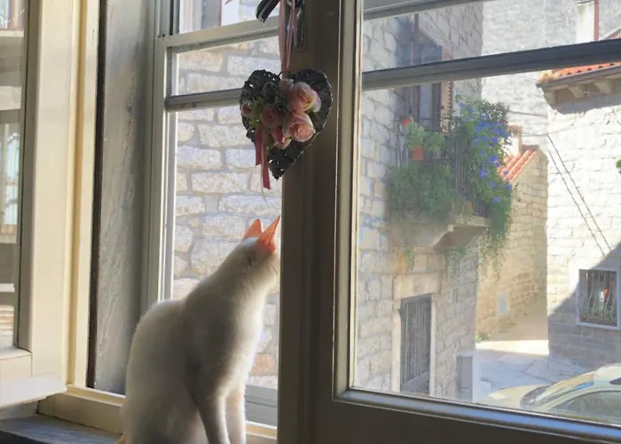 ホームステイ Tonino